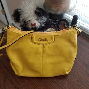 Coach sling bag